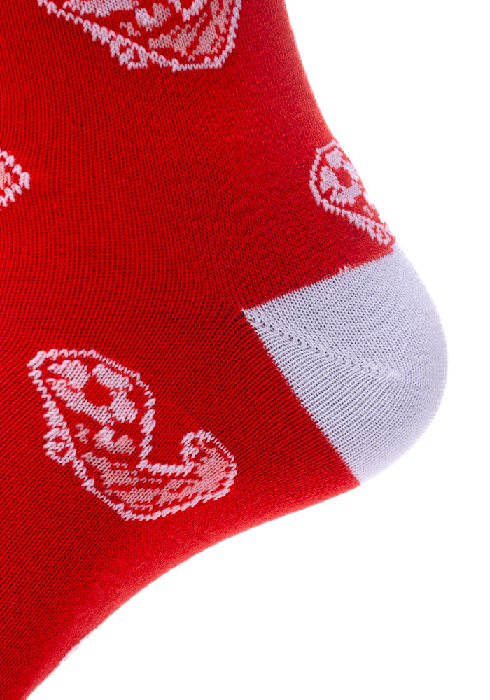 Calcetines Unisex Aniquiladores FC