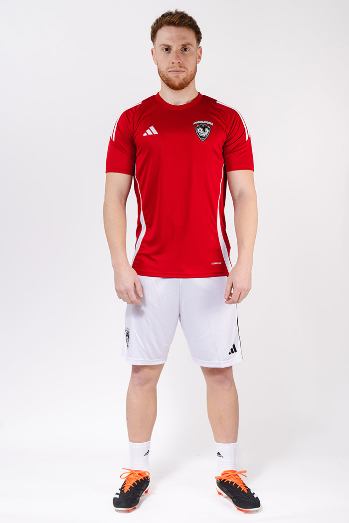 Camiseta Aniquiladores FC Training 2023-2024