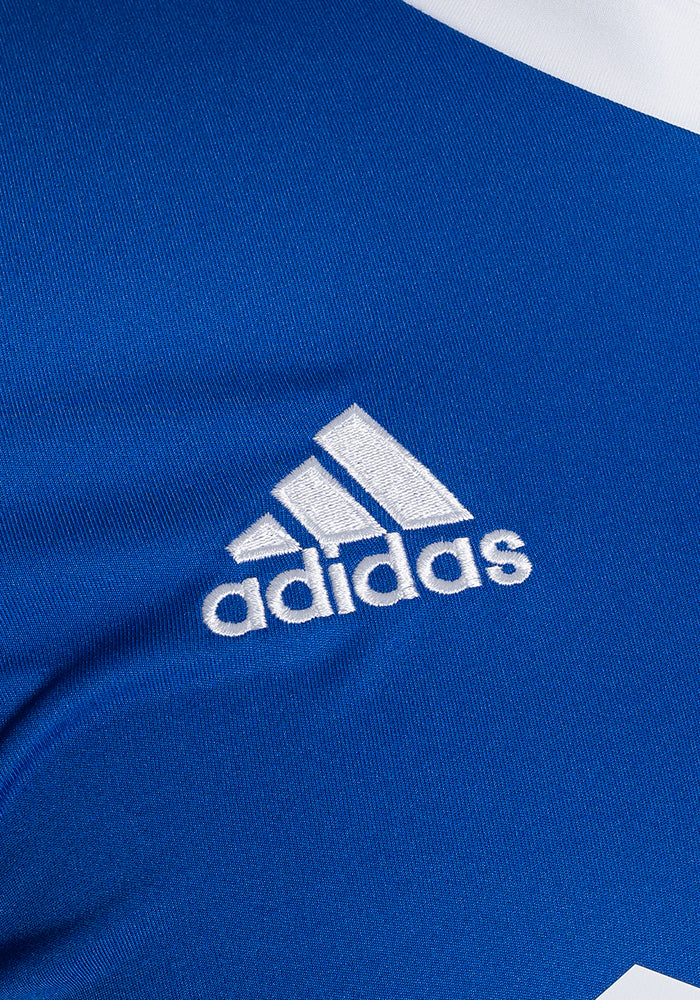 Camiseta Saiyans Training 2022-2023 Royal Blue-White