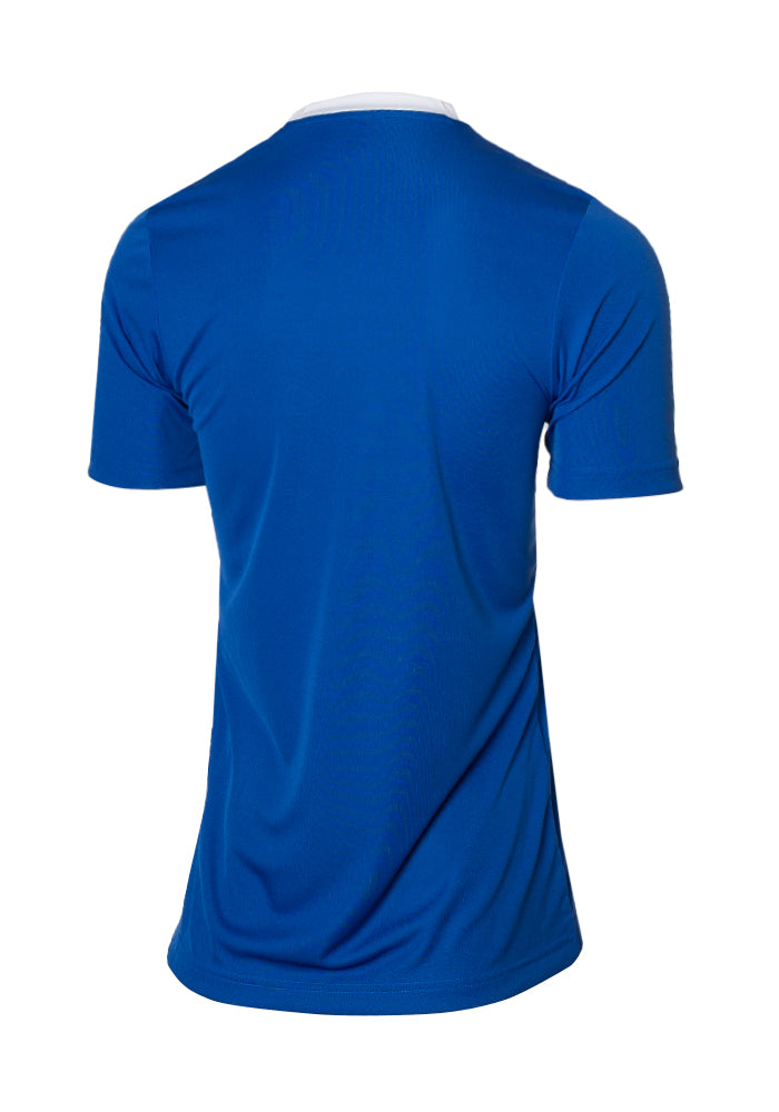 
            
                Load image into Gallery viewer, Saiyans Training Shirt 2022-2023 Royal Blue-White
            
        