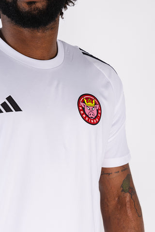 Camiseta Porcinos FC Training 2023-2024